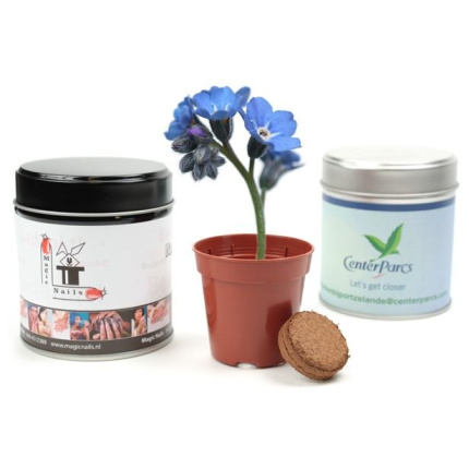 Blechdose mit Vergissmeinnichtsamen - Topgiving